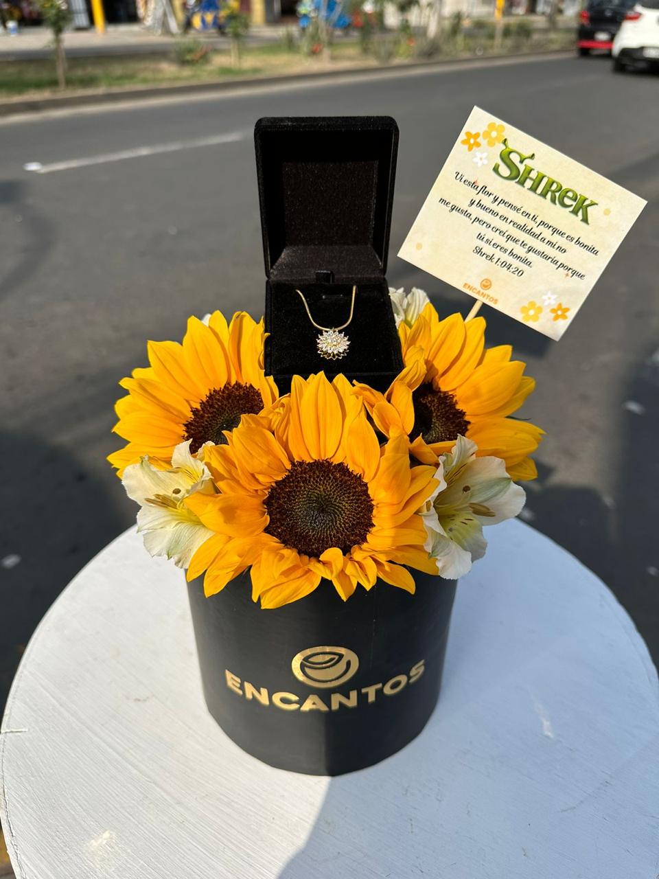 Box Girasoles Vibrante